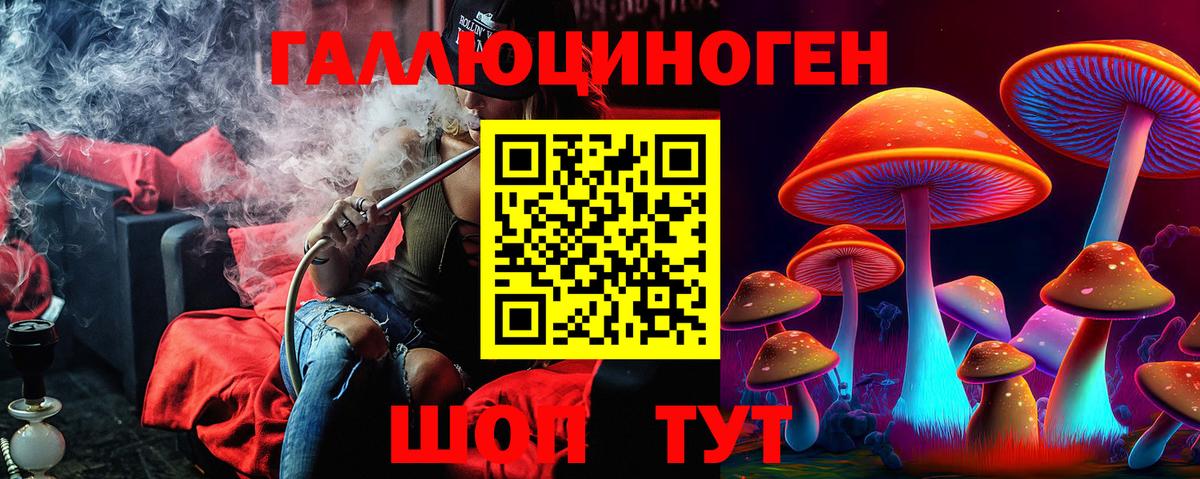 Галлюциногенные грибы Psilocybe  Вход с VPN  Псилоцибиновые грибы Psilocybine cubensis  что такое наркотик  Люберцы 