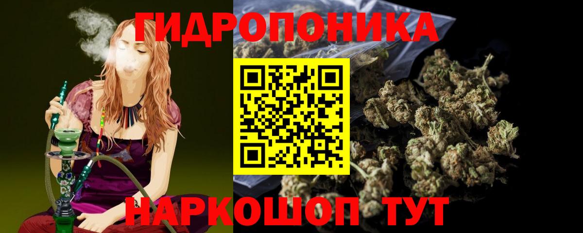 Бошки Шишки семена  Вход с VPN  Люберцы  Бошки Шишки THC 21% 